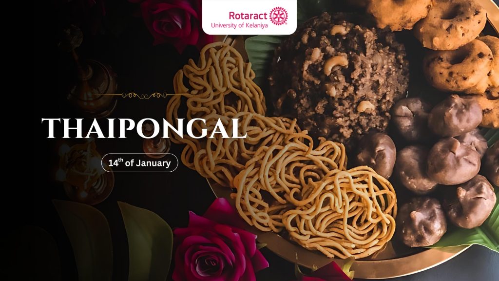 Pongal Thailand – Blog RACUOK