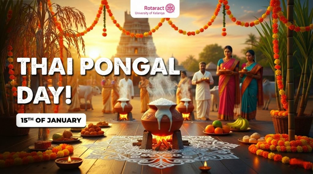 Thai Pongal: Merayakan Rasa Syukur, Panen, dan Awal Baru
